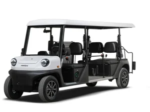 Elektromobil MELEX N.30 Mobility